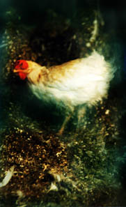 201306240132_1.jpg
