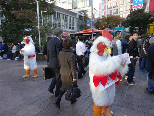 201611091821_1-500x0.jpg