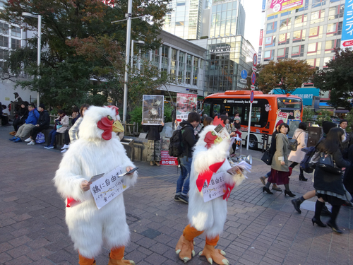 201611091821_2-500x0.jpg