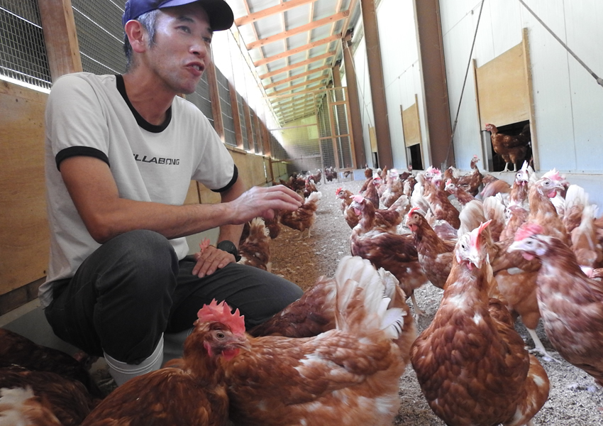 丸一養鶏場「エイビアリー」