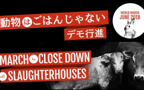 動物はごはんじゃないデモ行進 March to Close Down All Slaughterhouses