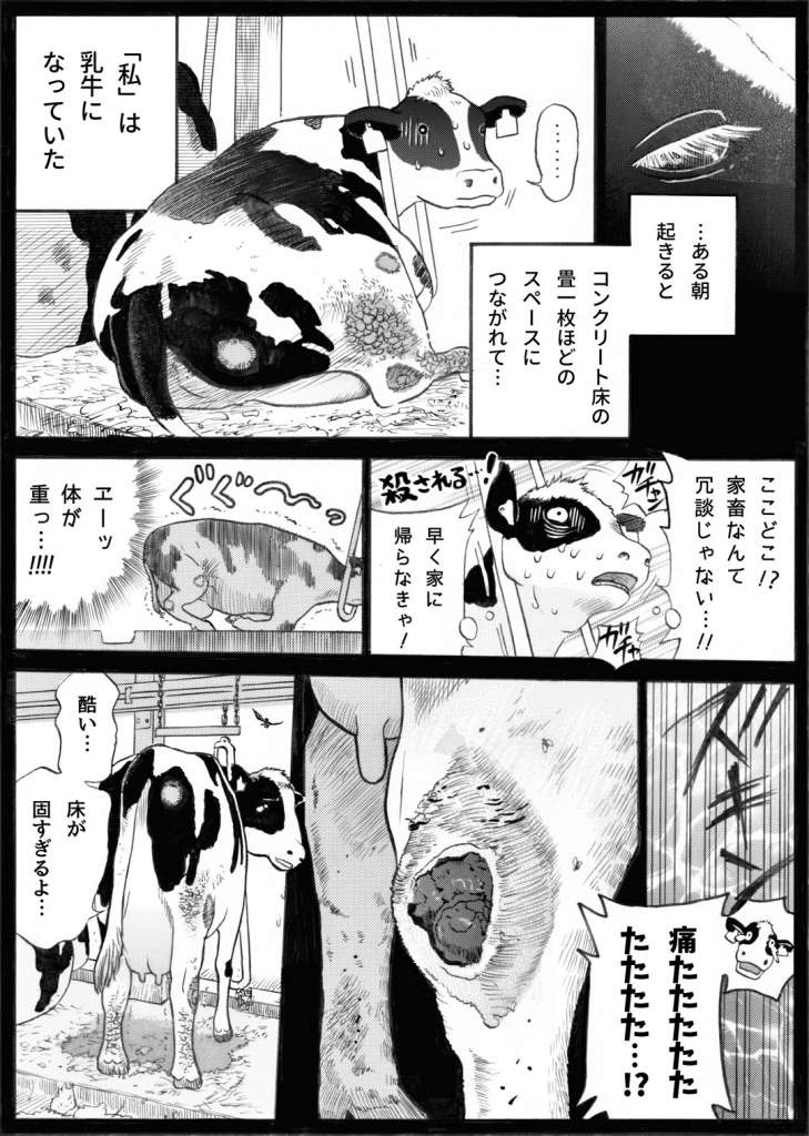 牛乳の秘密