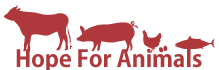 畜産動物たちに希望を Hope For Animals｜鶏、豚、牛などのアニマルウェルフェア、ヴィーガンの情報サイト