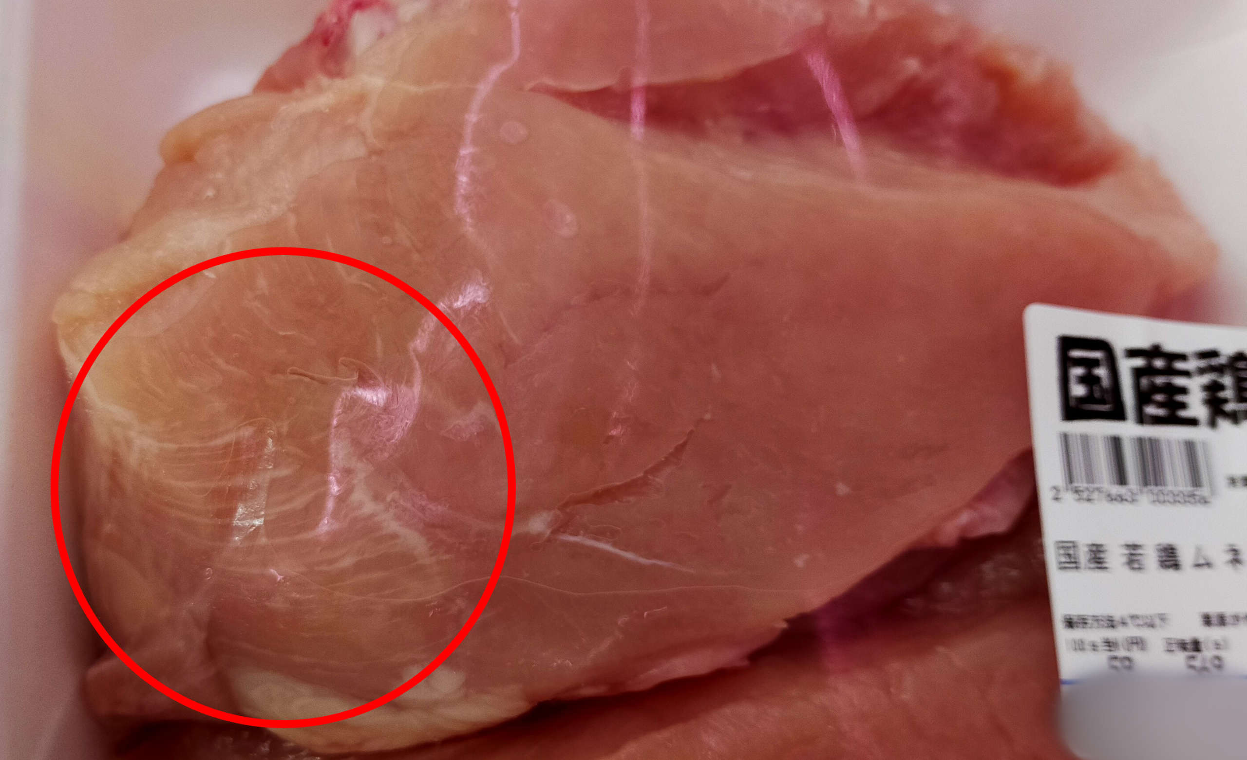鶏肉 の脂肪調査 鶏肉 は本当にヘルシーなのか 畜産動物たちに希望を Hope For Animals 鶏 豚 牛などのアニマルウェルフェア ヴィーガンの情報サイト 鶏肉 の脂肪調査 鶏肉 は本当にヘルシーなのか 畜産動物たちに希望を Hope For Animals 鶏 豚 牛などのアニマルウェルフェア ヴィーガンの情報サイト
