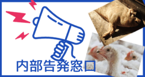 内部告発窓口