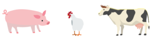 動物イラスト