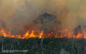 Fire line moves through a degraded forest area in an undesignated public forest area in Porto Velho, Rondônia on July 29, 2021. Photo © Christian Braga / Greenpeace