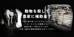 動物を殺して農家に補助金？