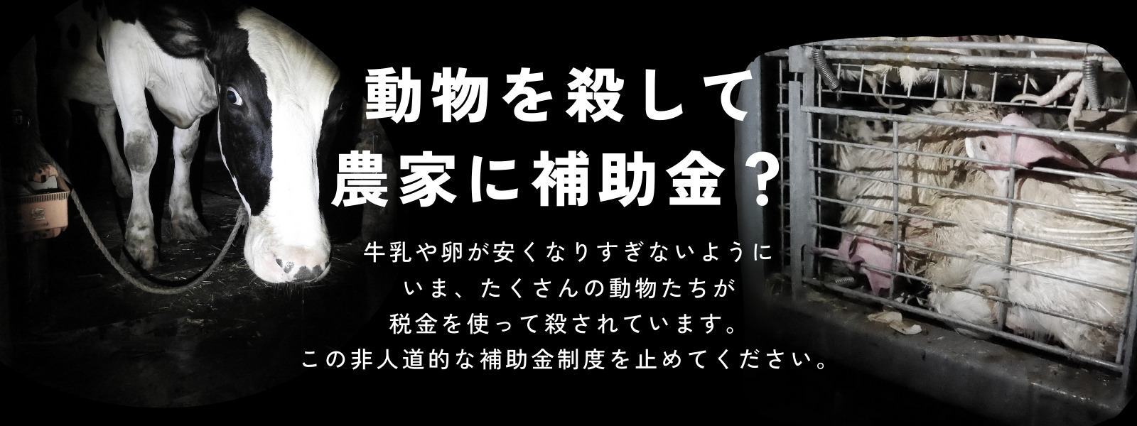 動物を殺して農家に補助金？