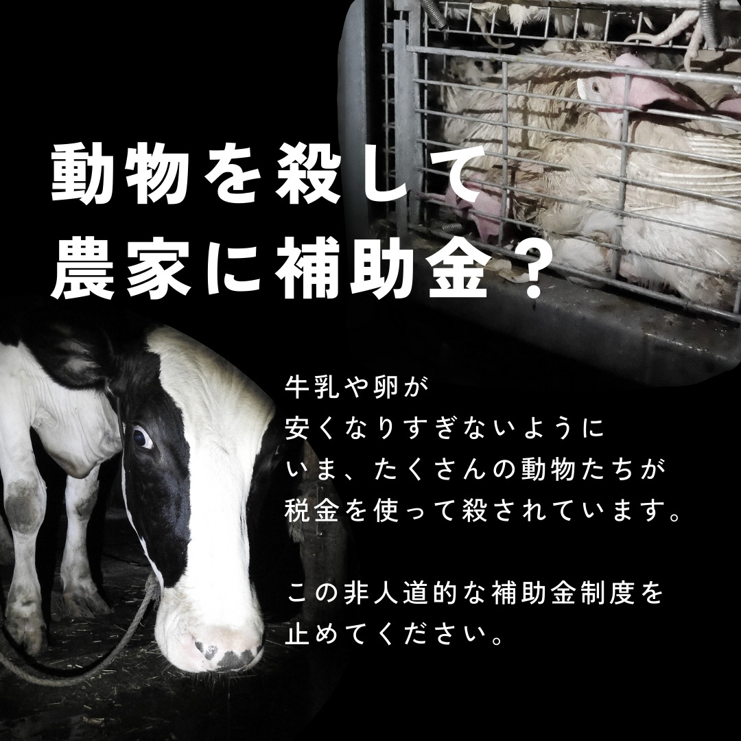 動物を殺して農家に補助金？