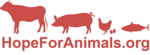 Hope for animals