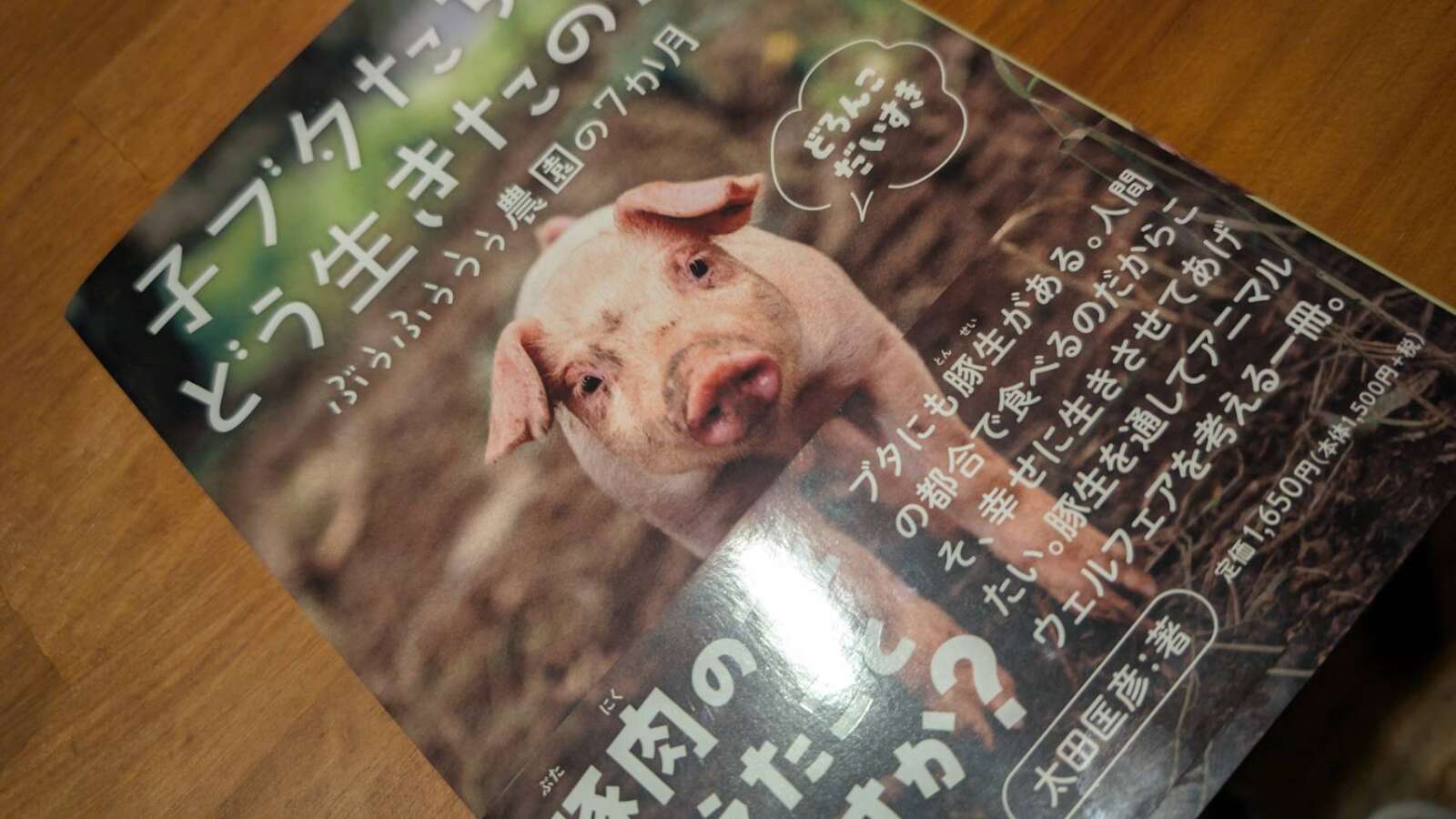 油絵 専用 夕方帰る子豚 油絵 専用 夕方帰る子豚