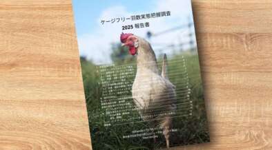 ケージフリー羽数実態把握調査 2025 報告書