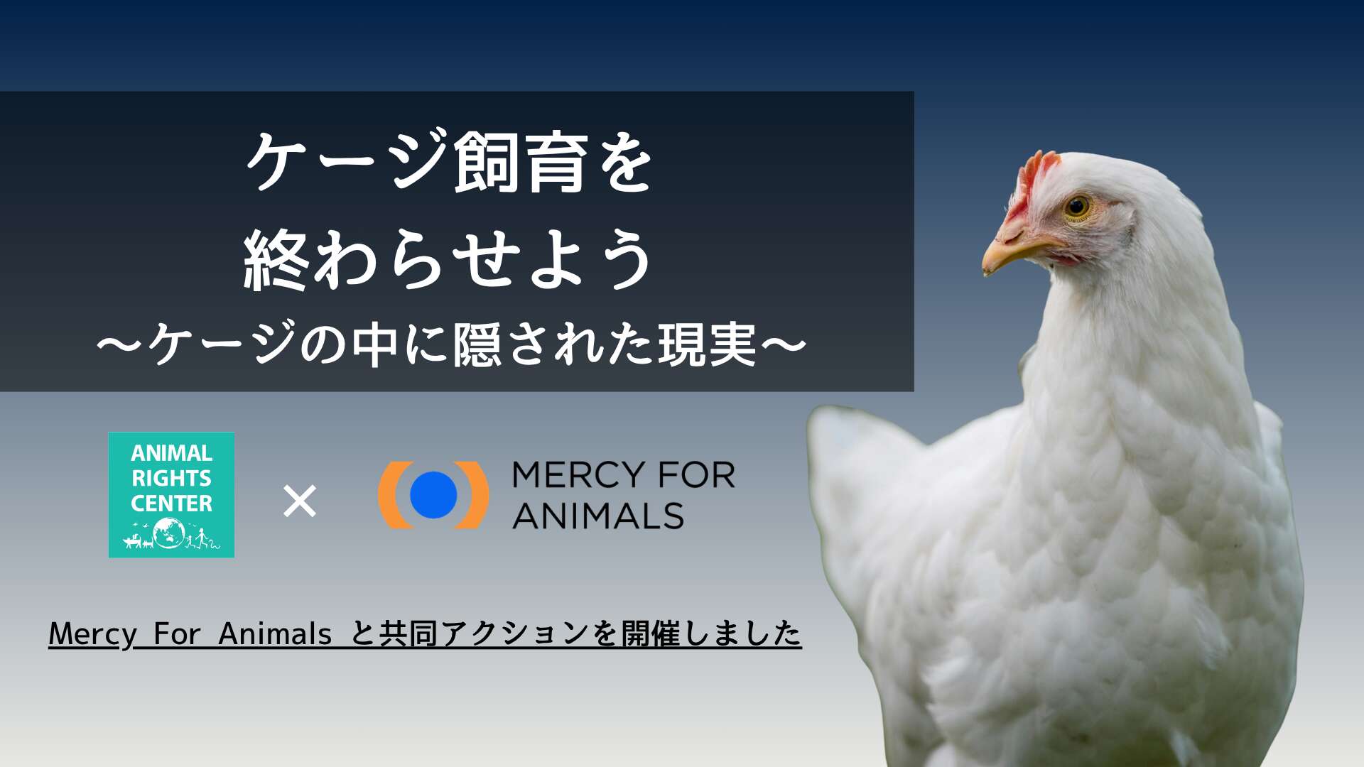 動物と共に…… 国際的な動物保護団体「Mercy For Animals」と共同アクションを実施